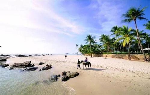 光裕沙滩最新爆料消息是真的吗,真相揭秘，是真是假？